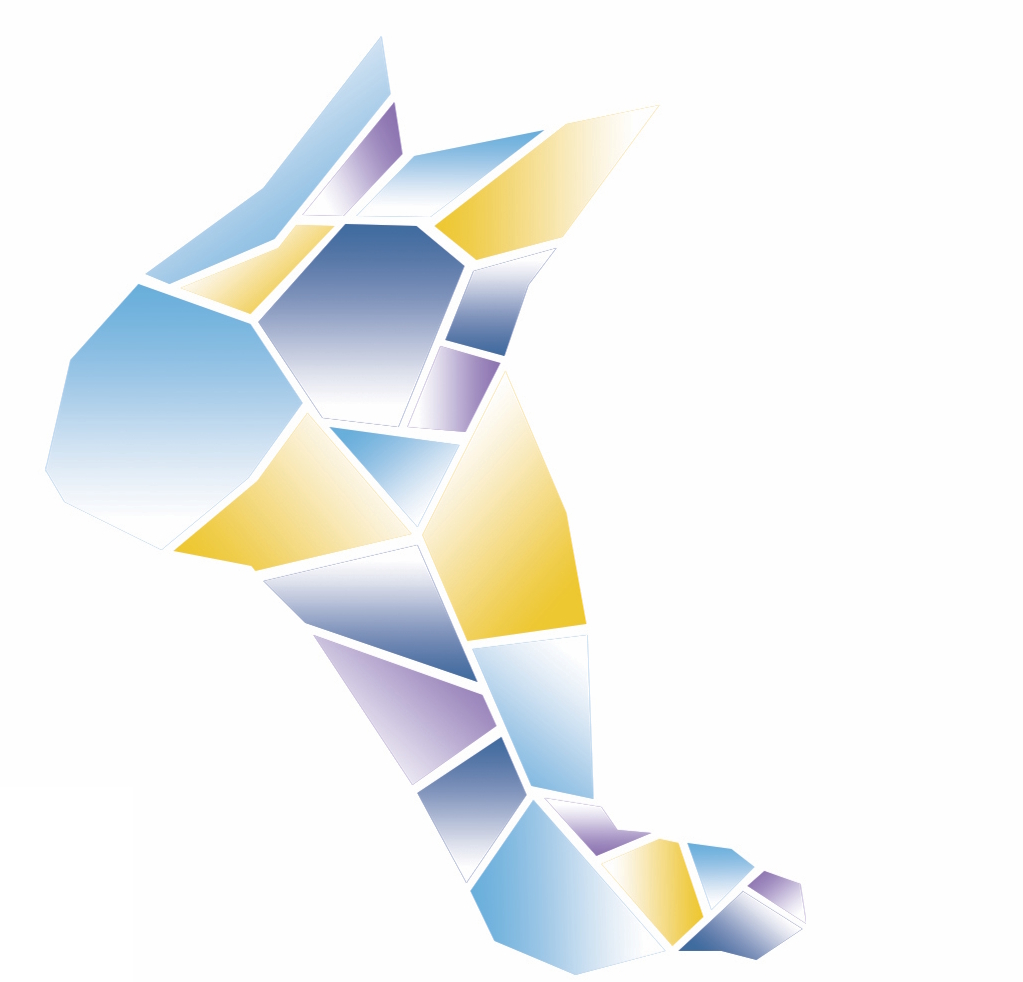 Achilles Centre - Foot Map